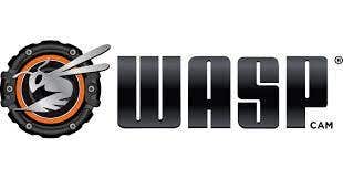 Wasp