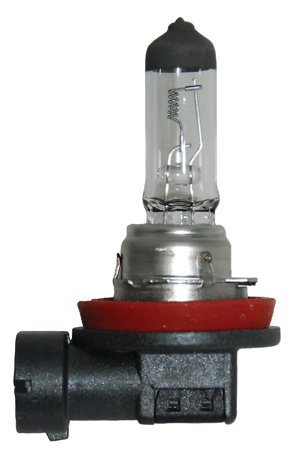 Hella H11 24V Standard Halogen Bulb, 70W   Standard Halogen Bulb, 70W