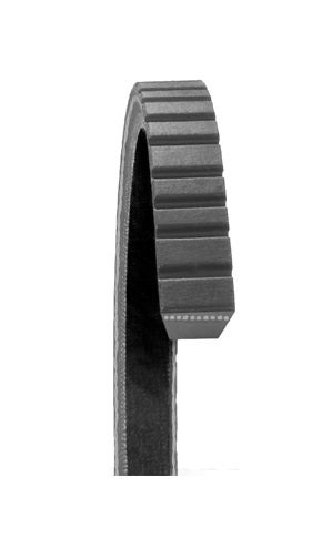 Dayco Accessory Drive Belt P/N:17770  Accessory Drive Belt P/N: