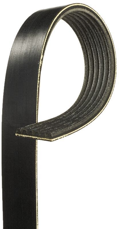 V-Ribbed Belt V-Ribbed Belt