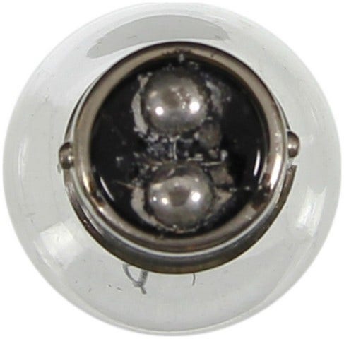 Wagner Lighting Back Up Light Bulb,License Light Bulb,Tail Light Bulb,Turn