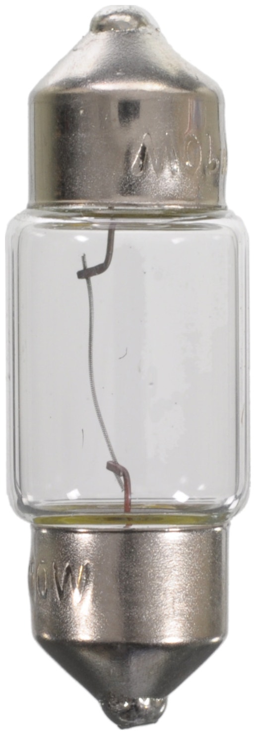 Wagner Lighting Courtesy Light Bulb,Dome Light Bulb,Map Light Bulb,Reading Light