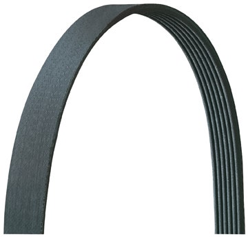 Dayco 5080993Dr Serpentine Belt   Serpentine Belt