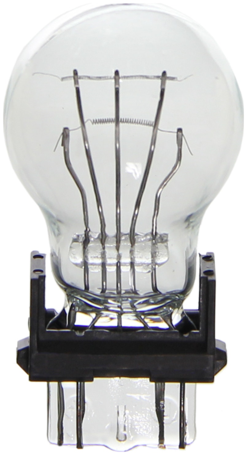 Wagner Lighting Back Up Light Bulb,Center High Mount Stop Light Bulb,Tail Light