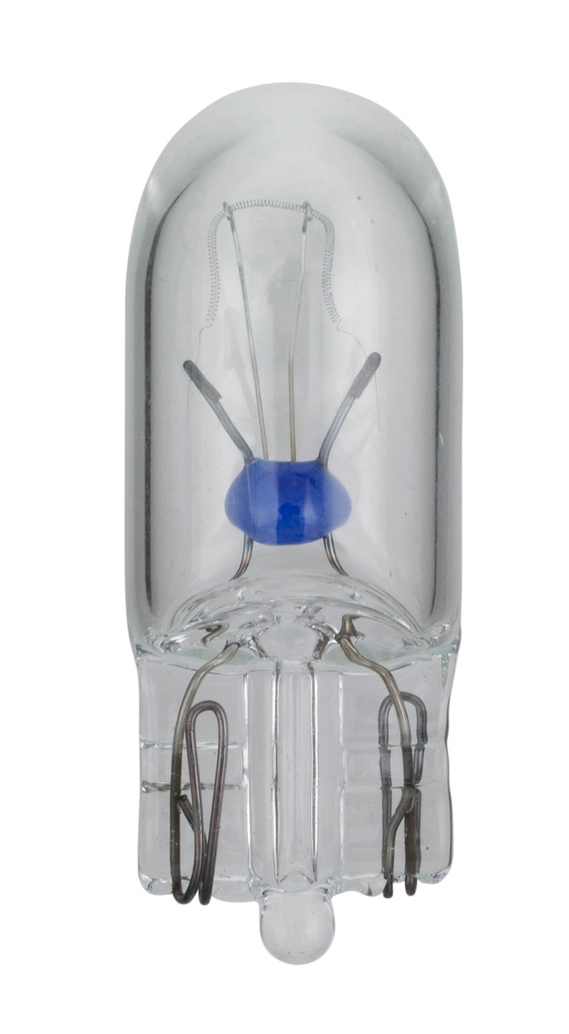 Wagner Lighting Dome Light Bulb,Instrument Panel Light Bulb,License Light