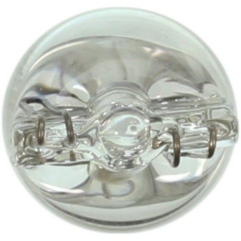 Wagner Lighting Dome Light Bulb,Instrument Panel Light Bulb,License Light
