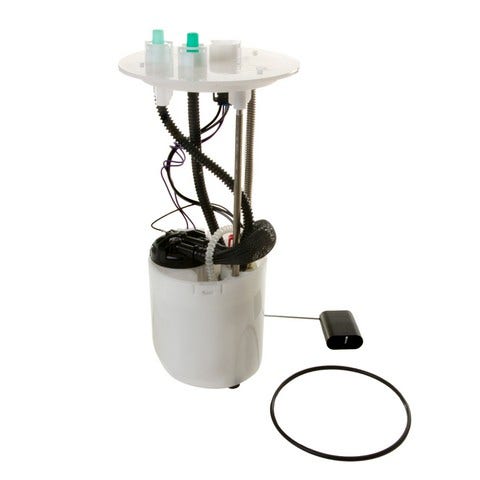 Delphi Fuel Pump Module Assembly P/N:Fg0919  Fuel Pump Module Assembly P/N: