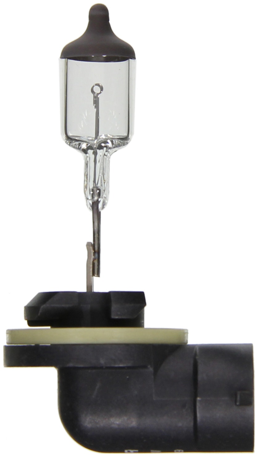 Wagner Lighting Fog Light Bulb P/N:Bp896   Driving/ Fog Light Bulb Standard
