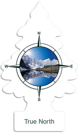 Little Trees Car Air Freshener   Hanging Paper Tree For Home Or Car   True North