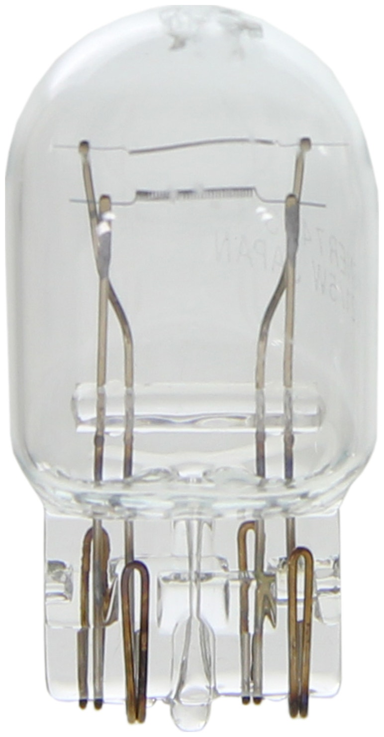 Wagner Lighting Brake Light Bulb,Side Marker Light Bulb,Tail Light Bulb,Turn