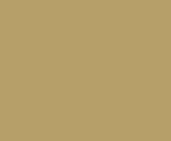 4'6'X10' Slideout Roof Diflexii Tan 4 6 X10  Slideout Roof Diflexii Tan