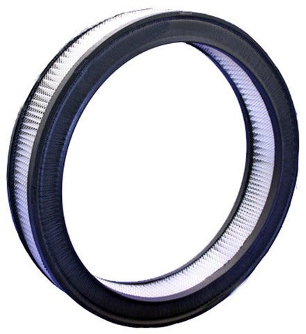 Bosch Air Filter P/N:5453Ws  Air Filter P/N: