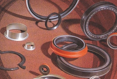 National 710112 Oil Seal   Oil Seal