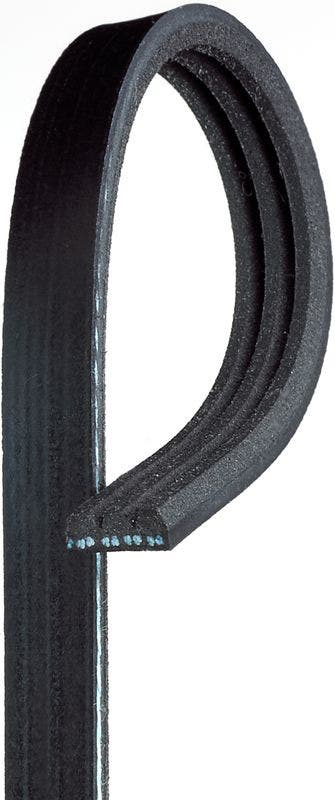 V-Ribbed Belt V-Ribbed Belt