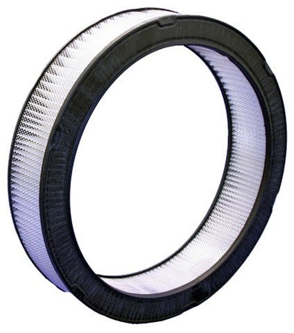 Bosch Air Filter P/N:5545Ws  Air Filter P/N: