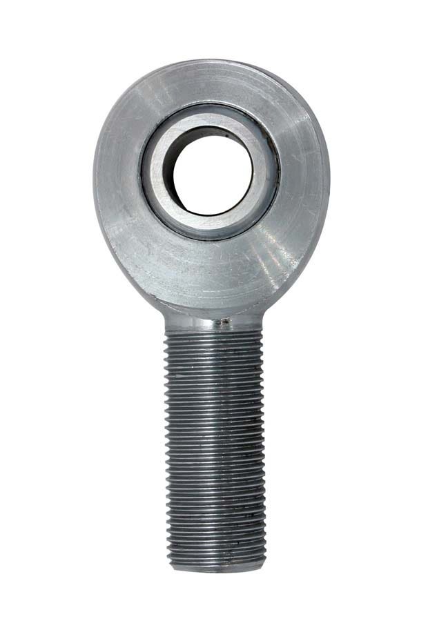 Rodend C6133 Comp.Eng/Mor Rodend  Comp.Eng/Mor