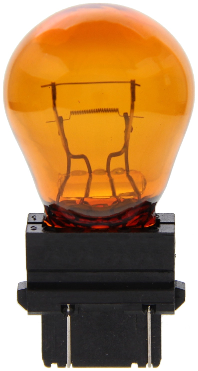 Wagner Lighting Parking Light Bulb,Side Marker Light Bulb,Turn Signal Light Bulb
