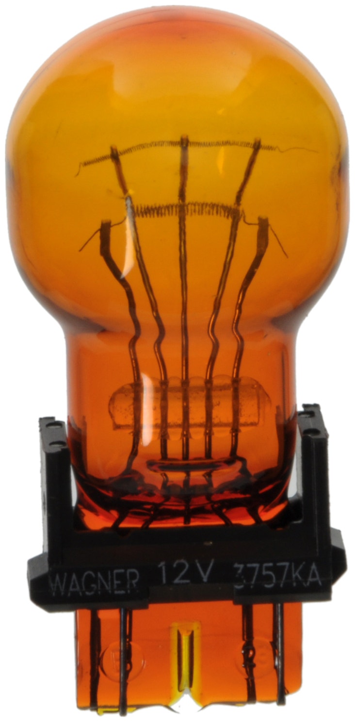 Wagner Lighting Parking Light Bulb,Side Marker Light Bulb,Turn Signal Light Bulb