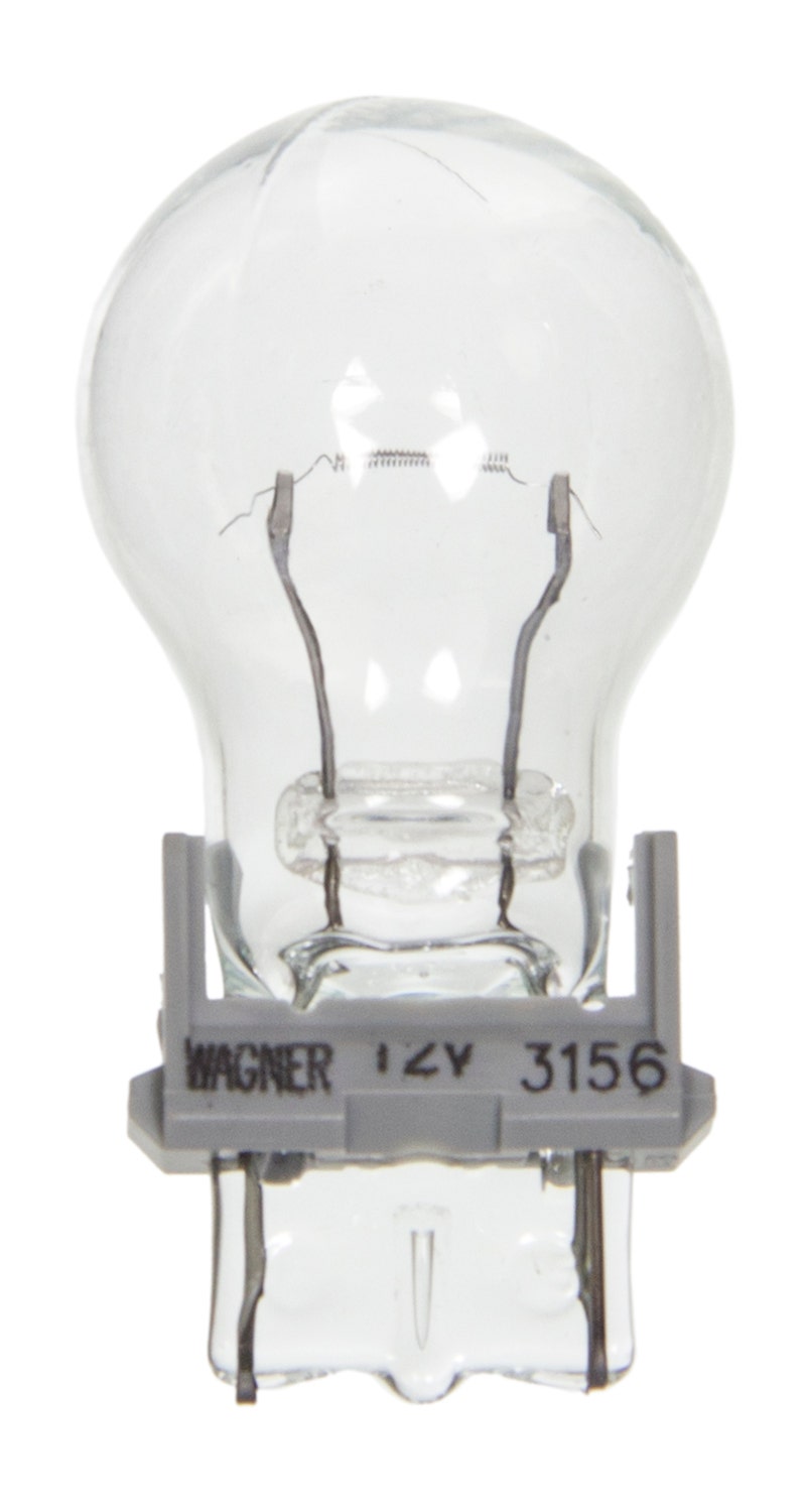 Wagner Lighting Back Up Light Bulb,Center High Mount Stop Light Bulb,Turn Signal