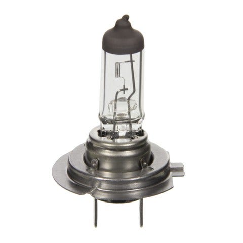 Wagner Lighting Cornering Light Bulb,Daytime Running Light Bulb,Fog Light