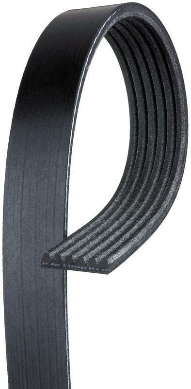 Gates K061031 Ribbed V-Belt   Ribbed V-Belt