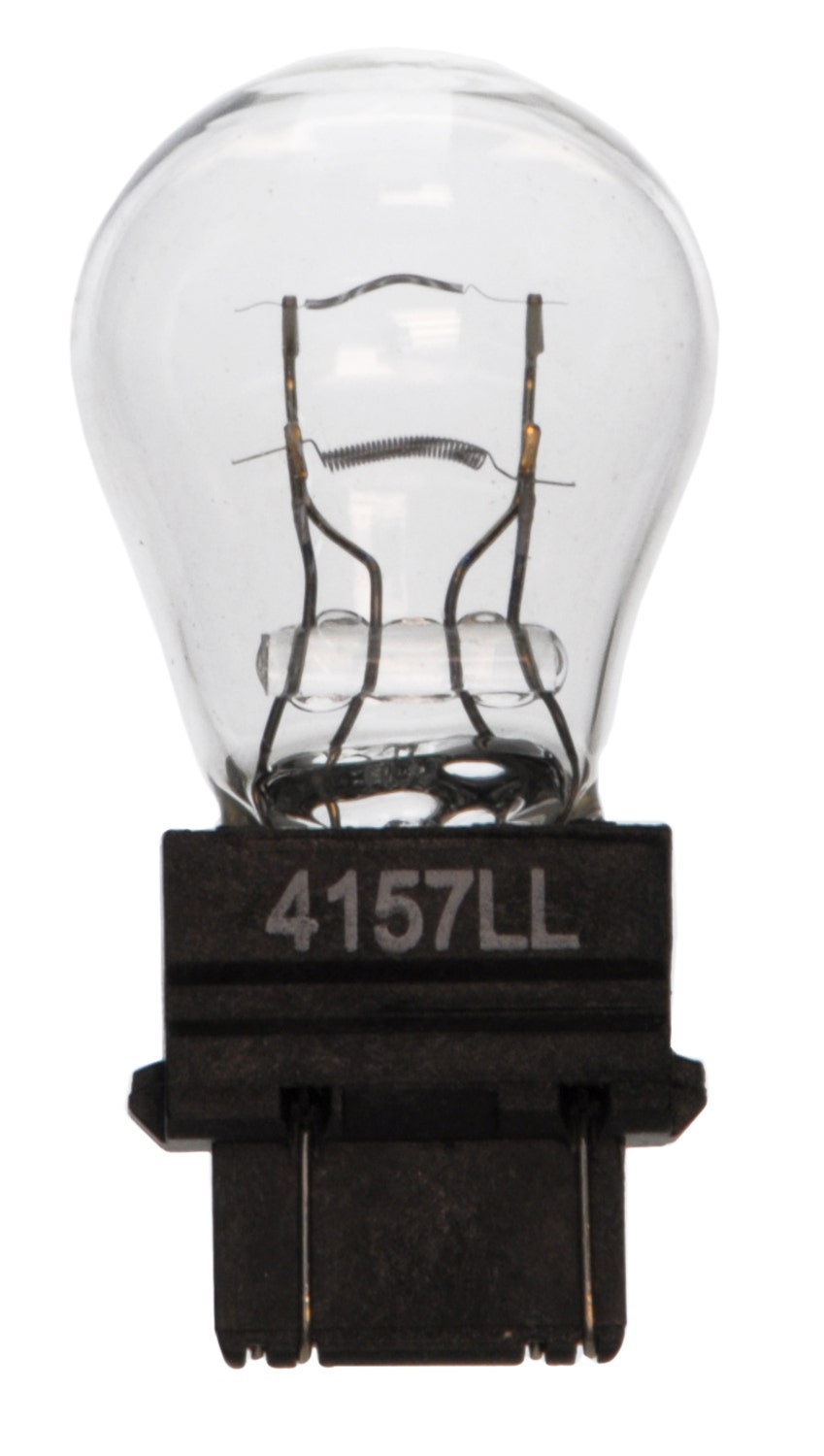 Wagner Lighting Brake Light Bulb,Side Marker Light Bulb,Tail Light Bulb,Turn
