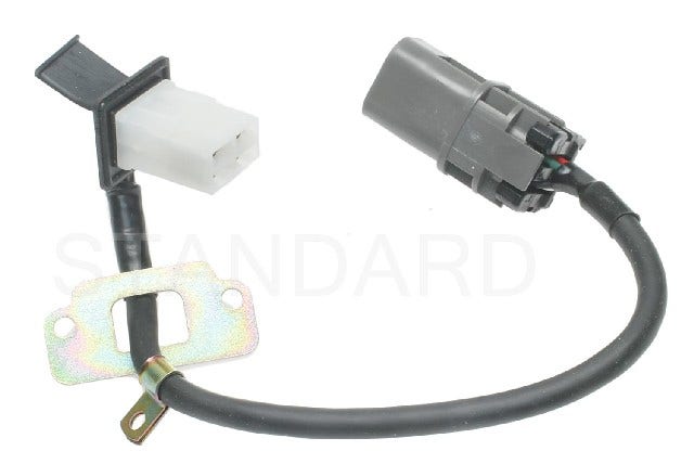 Standard Ignition Back Up Lamp Socket,Cornering Lamp Socket,Turn Signal Lamp