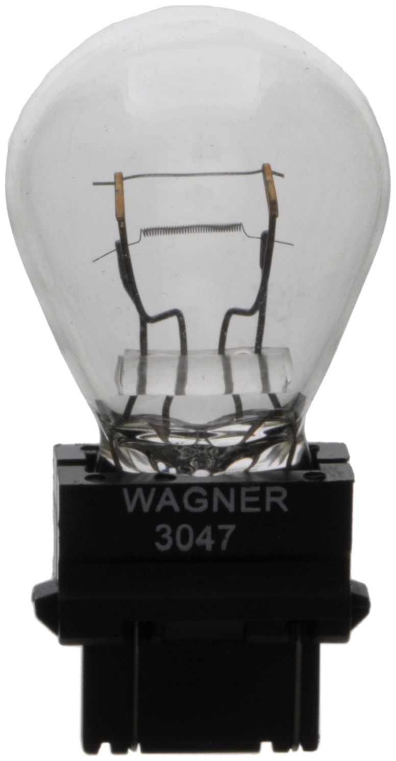 Wagner Lighting Back Up Light Bulb,Brake Light Bulb,Tail Light Bulb,Turn Signal